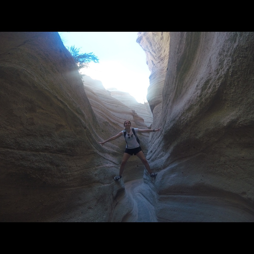 Meet your Posher, Shannon